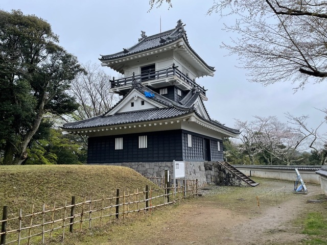 IMG_7299.jpeg