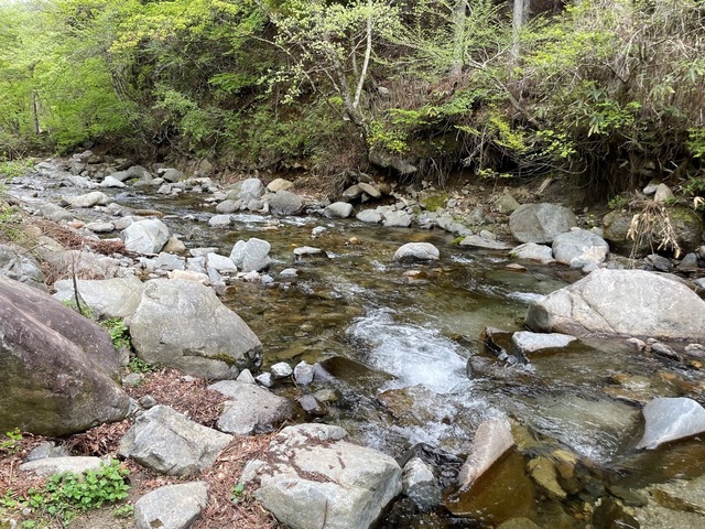 IMG_7486.jpeg