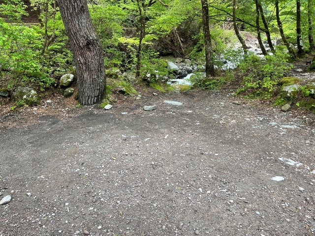 IMG_7591.jpeg