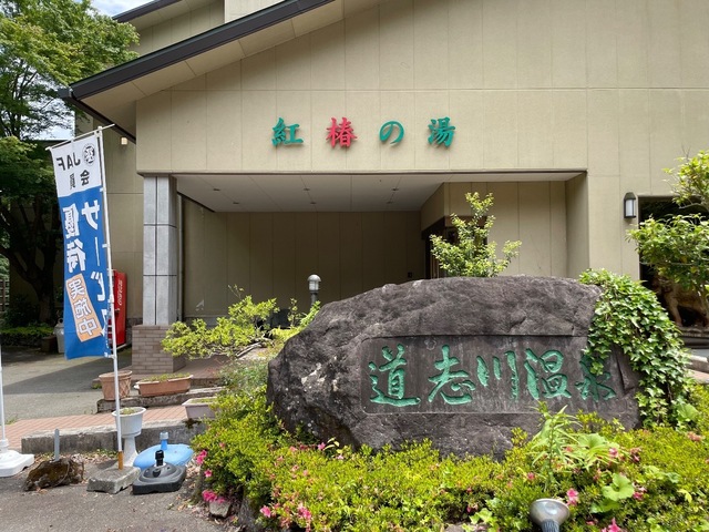 IMG_7767.jpeg