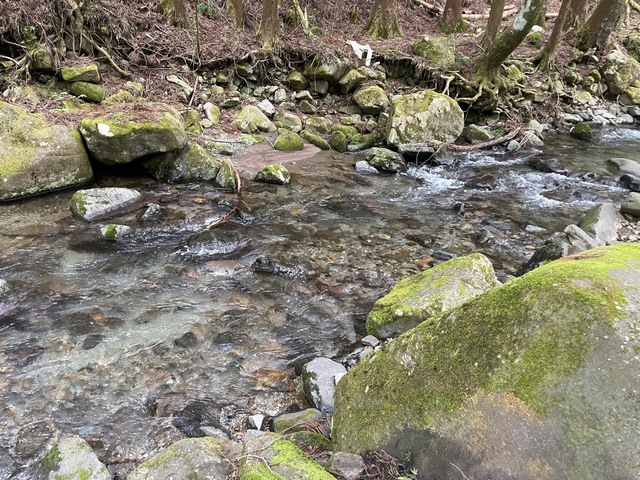 IMG_7850.jpeg