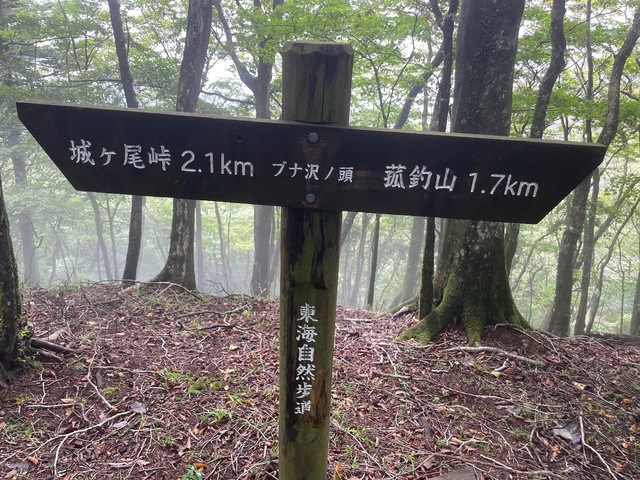 IMG_8679.jpeg