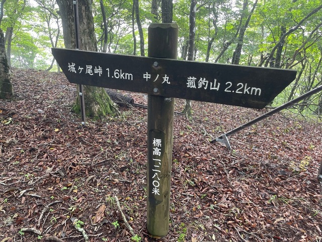 IMG_8682.jpeg