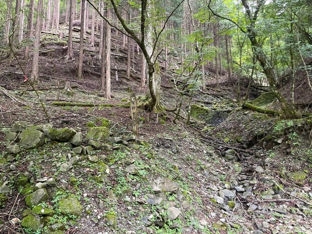 IMG_8704.jpeg